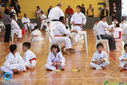 Filename=IMG_4004.jpg
Filesize=142KiB
Dimensions=790x527
Date added=Aug 01, 2017 IMG_4004.jpg