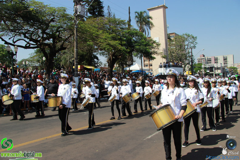 JIMG_0029.jpg