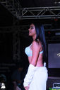 JIMG_1514.jpg