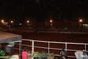 IMG_5612.jpg