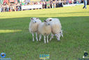 IMG_6778.jpg