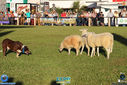 Filename=IMG_6789.jpg
Filesize=176KiB
Dimensions=790x527
Date added=Apr 03, 2017 IMG_6789.jpg