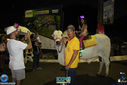 IMG_6873.jpg