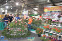 Filename=IMG_7208.jpg
Filesize=167KiB
Dimensions=790x527
Date added=Apr 03, 2017 IMG_7208.jpg