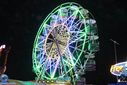IMG_7285.jpg