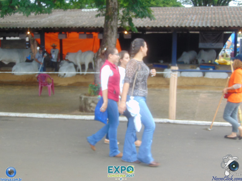 JDSC03843.jpg