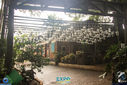 Filename=IMG_8144.jpg
Filesize=200KiB
Dimensions=790x527
Date added=Apr 07, 2017 IMG_8144.jpg