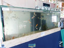 JDSC03741.jpg
