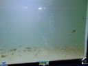 JDSC03758.jpg