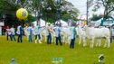JDSC03842.jpg