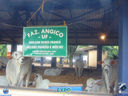 JDSC03847.jpg