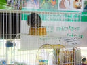 JDSC03859.jpg