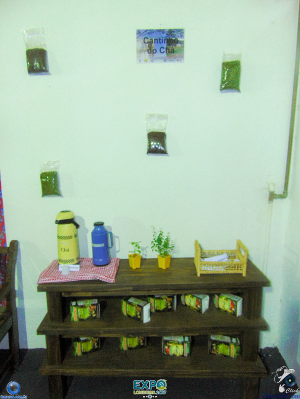 DSC07906.jpg