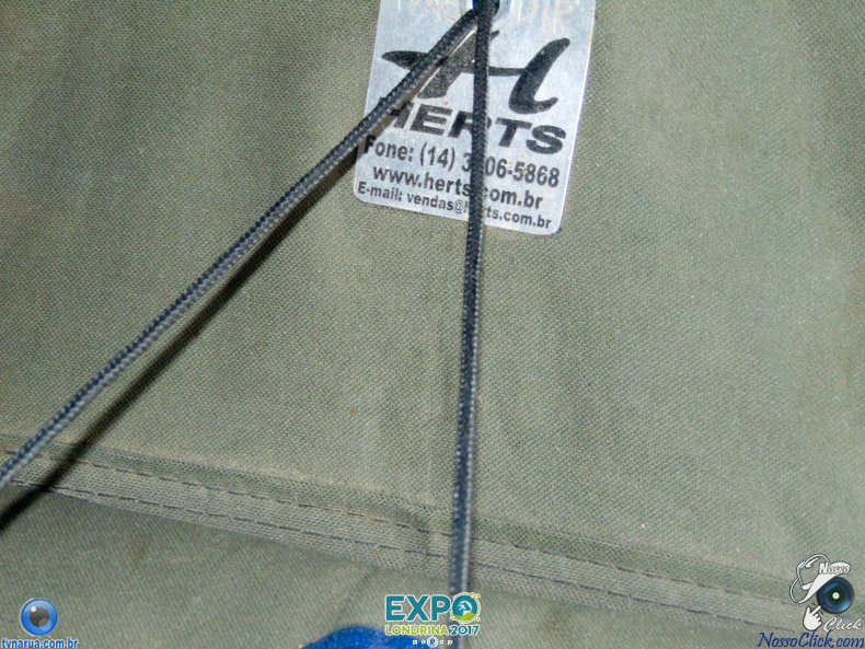 DSC08031.jpg
