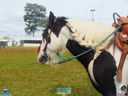 DSC08104.jpg