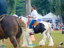 Filename=DSC08125.jpg
Filesize=226KiB
Dimensions=790x593
Date added=Apr 11, 2017 DSC08125.jpg