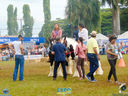DSC08134.jpg