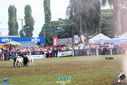 IMG_9860.jpg