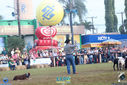 IMG_9861.jpg