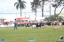 IMG_9864.jpg