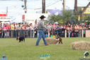 IMG_9866.jpg