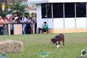 IMG_9867.jpg