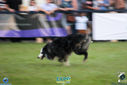 IMG_9880.jpg
