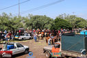 IMG_1859-3.jpg