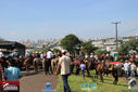 IMG_1860-3.jpg