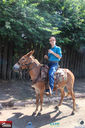 IMG_1987-3.jpg