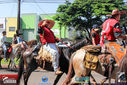 IMG_2003-3.jpg