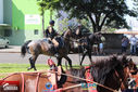 IMG_2012-3.jpg