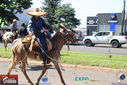 IMG_2042-3.jpg