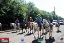 IMG_2052-3.jpg