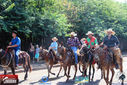 IMG_2063-3.jpg