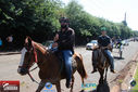 Filename=IMG_2084-3.jpg
Filesize=212KiB
Dimensions=790x527
Date added=Mar 14, 2017 IMG_2084-3.jpg