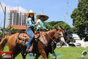 IMG_2131-3.jpg
