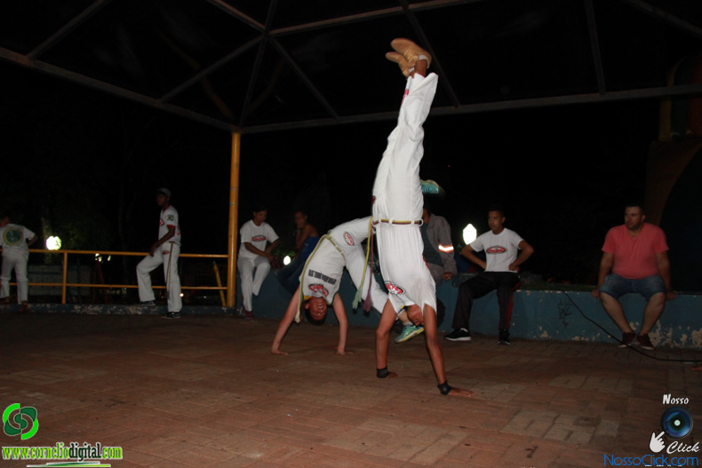IMG_2006.jpg