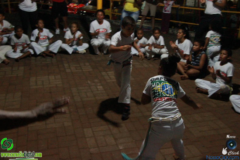 IMG_2236.jpg