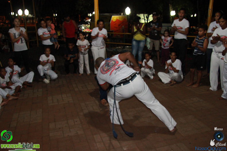 IMG_2263.jpg