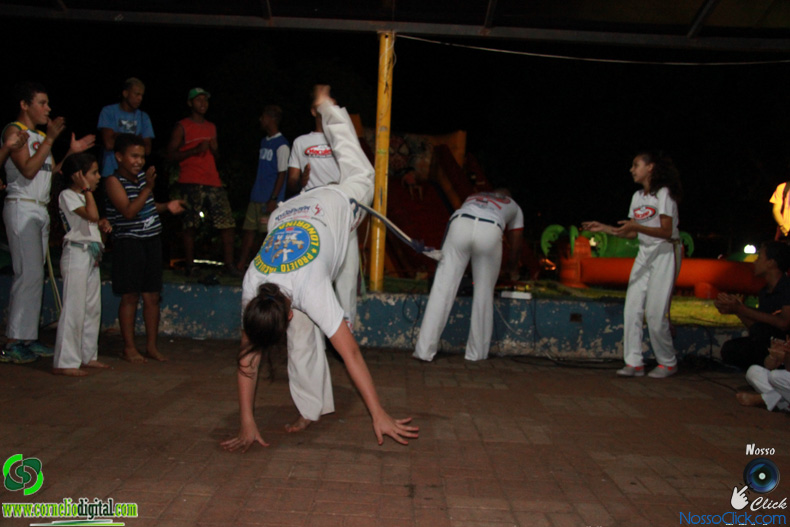 IMG_2293.jpg