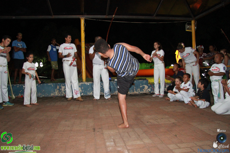 IMG_2298.jpg