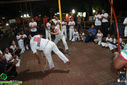 IMG_2223.jpg