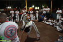 IMG_2224.jpg