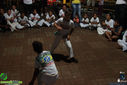 IMG_2233.jpg