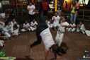 IMG_2252.jpg