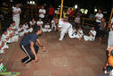 IMG_2255.jpg