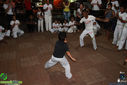 IMG_2266.jpg