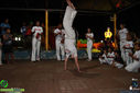 IMG_2295.jpg