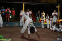 IMG_2330.jpg